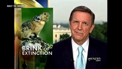 Rare Animal With "Teddy Bear Face" Spotted For 1st Time In 20 Years