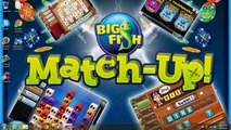 Big Fish Casino Cheats get free Chips Big Fish Casino Cheats