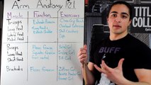 Arm Anatomy 101: Function and Exercises for Building Bigger Biceps and Triceps