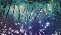 After Effects Project Files - Snowflakes Overlays and Backgrounds - VideoHive 9697427