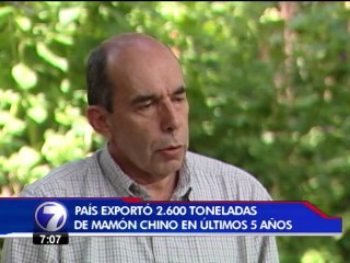 El país exportó 2.600 toneladas de mamón chino en los últimos cinco años