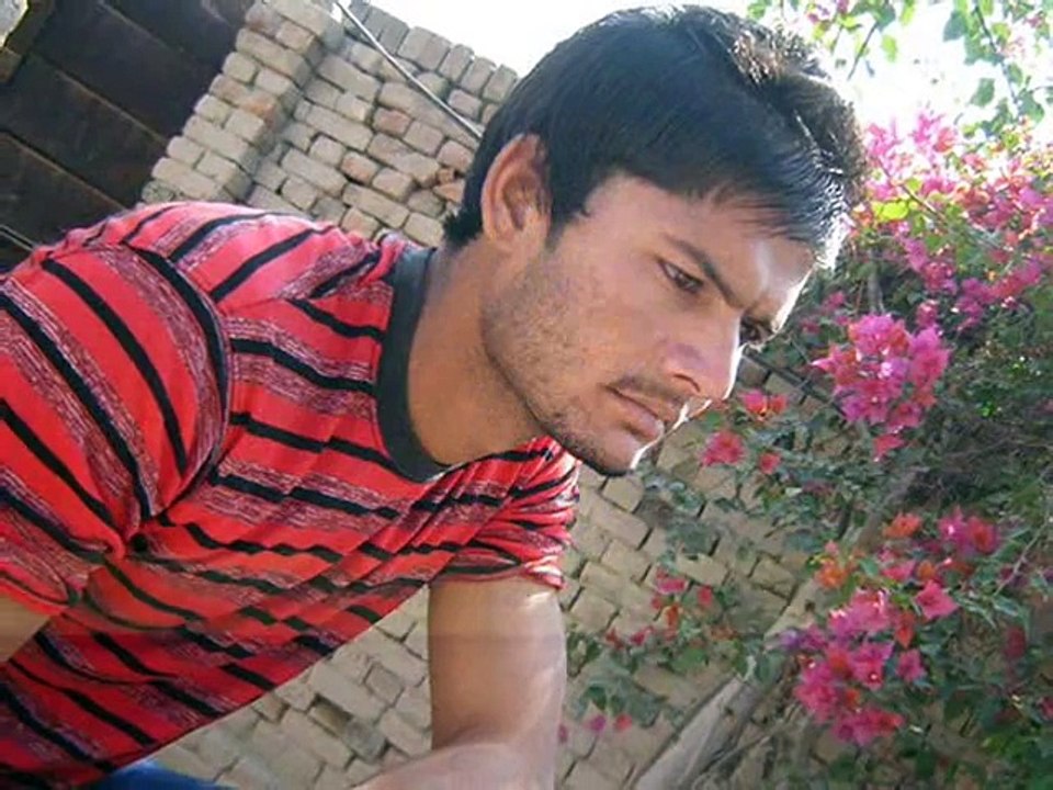 Portfolio Syed Hafiz Salman Bukhari by GFP Social Media Team Karachi