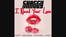 FAYDEE - I Need Your Love ft Shaggy, Mohombi, Costi