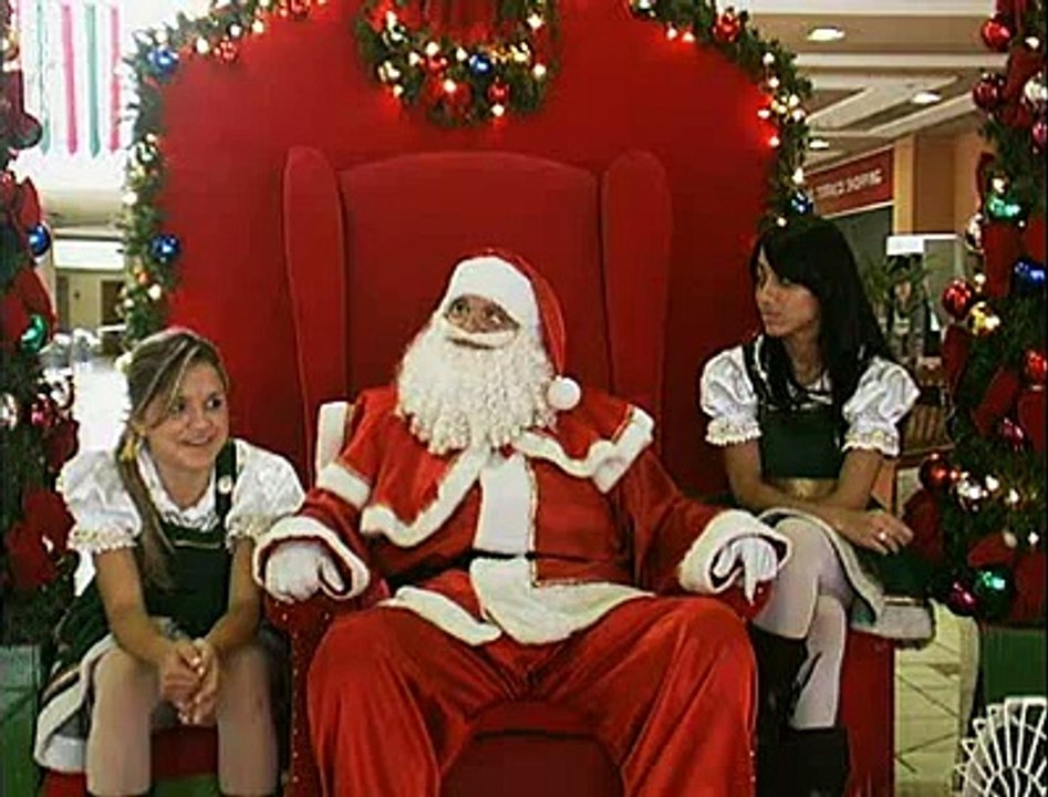Profissão papai noel