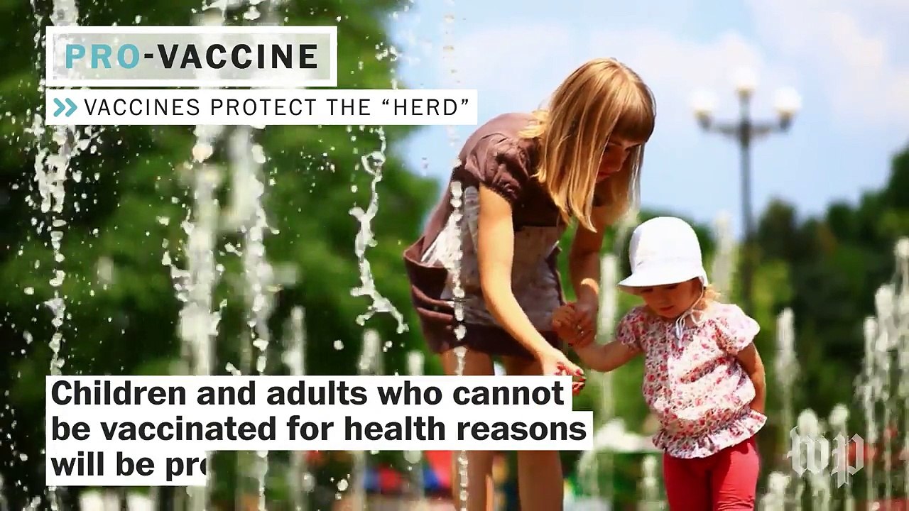 Everything you need to know about the vaccine debate
