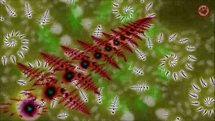 Cadillac Angels - Shake And Move