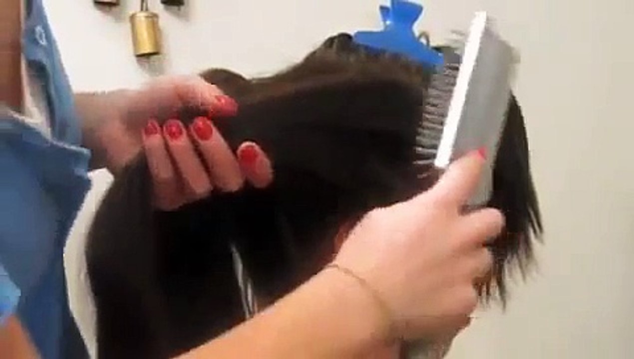 ***GEISHA HAIRSTYLE/ FRYZURA GEJSZY for HALLOWEEN***