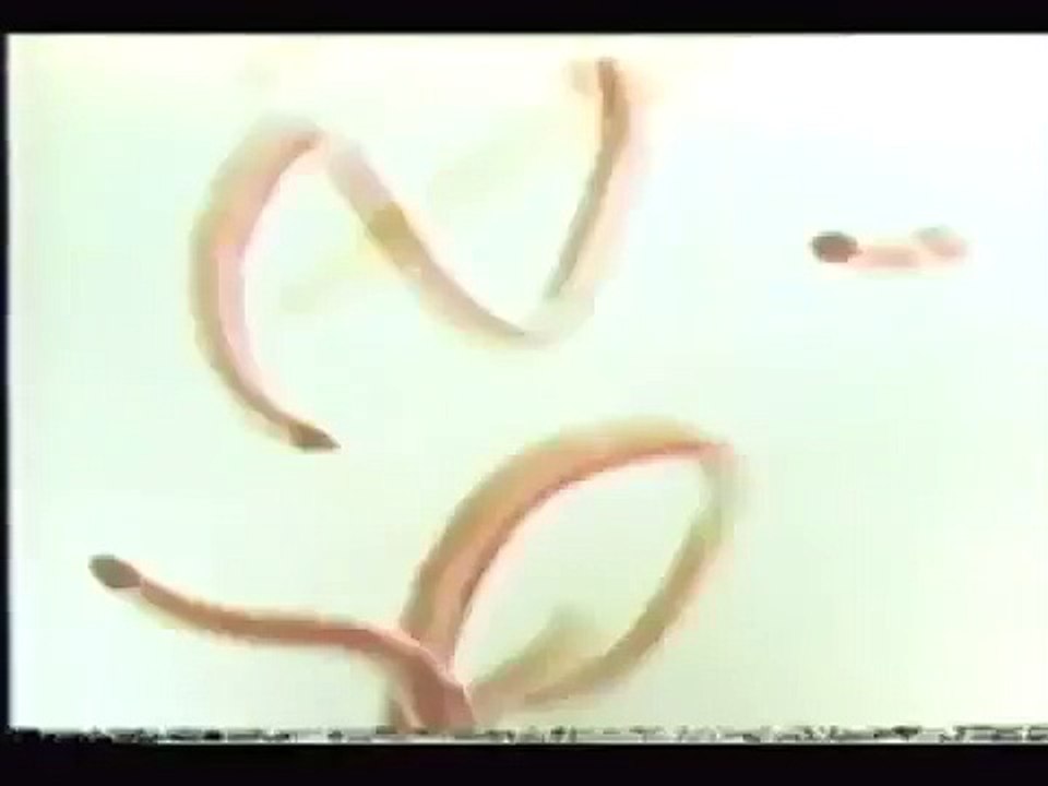 1974 TV Commercial for John Lennon's "Walls & Bridges" LP (narrated by Ringo Starr)