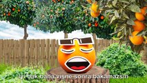 Cappy Meyve Suyu Reklamı | Türkçe Rap Yapan Şeftali ve Kayısı