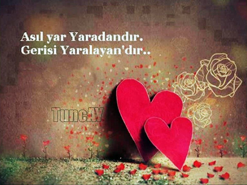 İLKAY AKKAYA-GİDEMEM