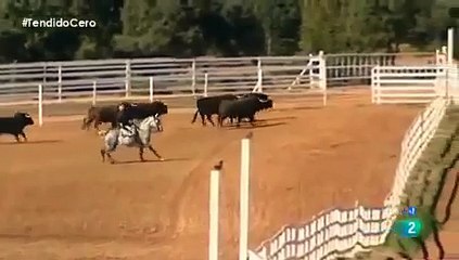Cogida al mayoral de la ganadería de los chospes