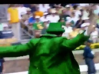 Notre Dame Fighting Irish