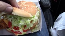Long Chicken Royale vs. Zinger Burger (1.13.11 - Day 196) Carnager Daily VLOG