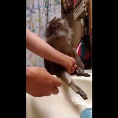 Voici ce qui se passe de nos jours, pour ou contre?