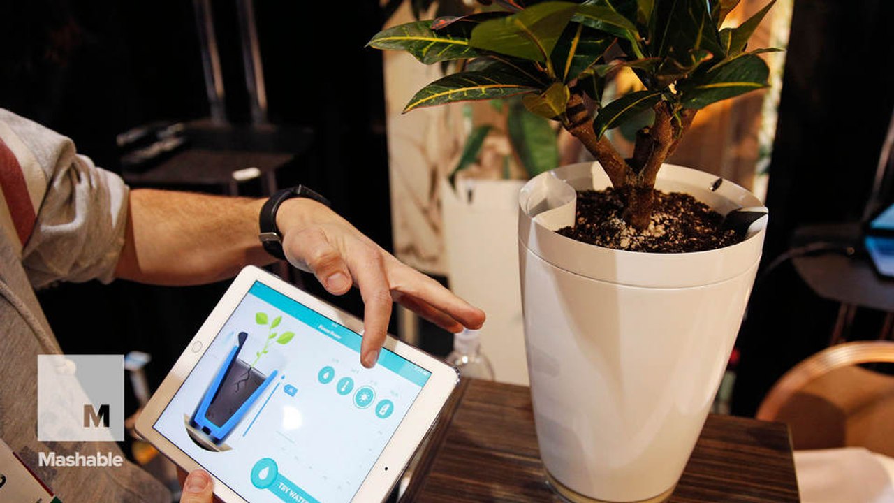 The newest gadgets from CES 2015 that could soon be in your home