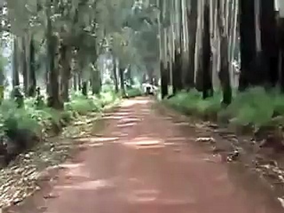 Driving in Congo