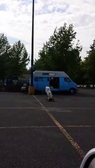 Dog casually rides 3-wheeled scooter