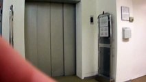 Schindler Traction Elevator @ Shopping Mall in Germany