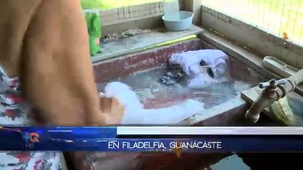 “Ni quiera Dios dijo la Joba”