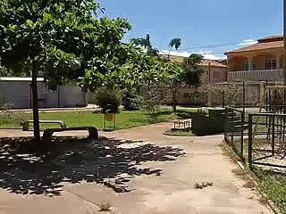 Jornal local: bebe taguatinga