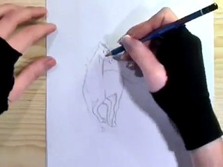 Animals [time lapse drawing]