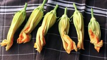 Fried Stuffed Squash Blossoms - Squash Flowers Stuffed with Goat Cheese