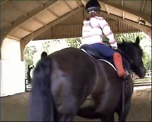 Emily's First Horse Riding Lesson