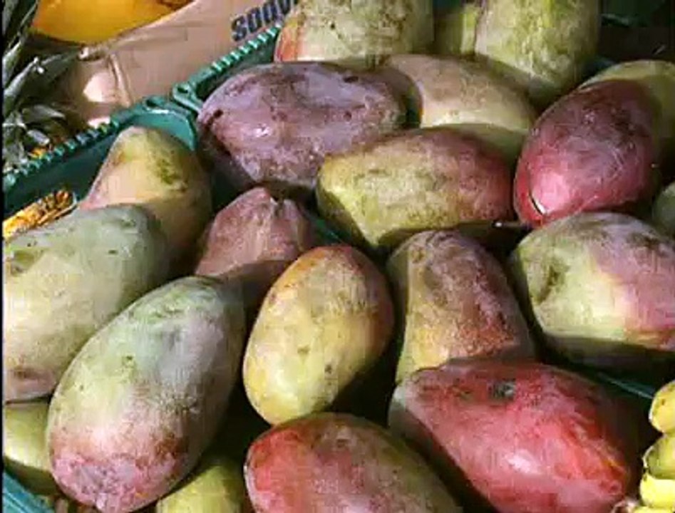 Confusão agefis