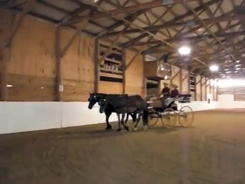 How NOT to do a driven dressage test with a pair!