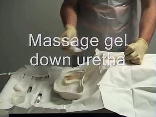 Male Urinary Catheterisation