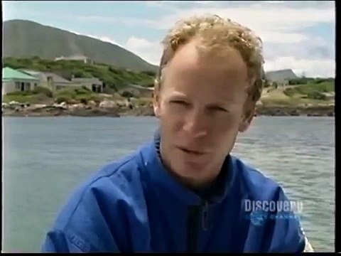 Gran tiburón blanco, tras los gigantes - great white shark, in search of the giants ( 4/5 )