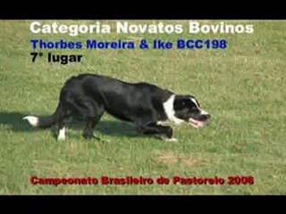 Prova Novatos Campeonato Brasileiro de Pastoreio 2006