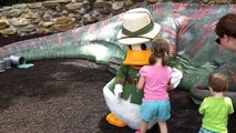 Donald Duck - Disney Animal Kingdom