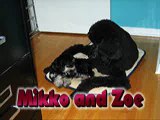 Mikko and Zoe Playing