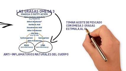 Suplementos De Omega 3  Artritis