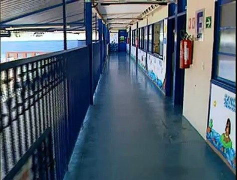 Gripe suína cuidados