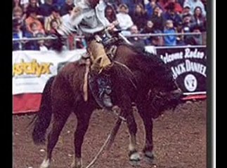 Equine Overpopulation