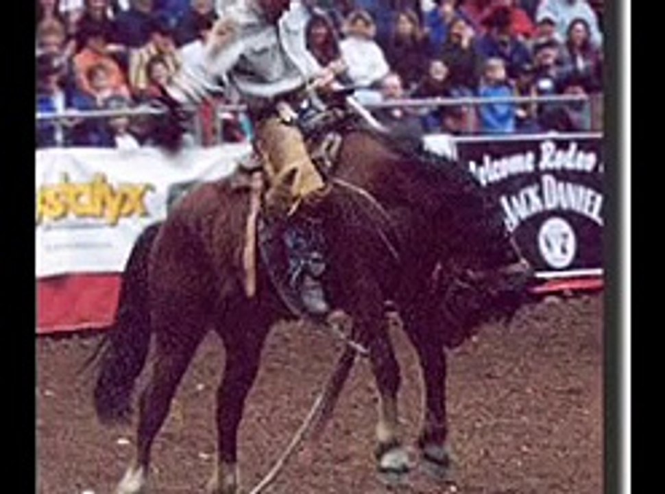 Equine Overpopulation