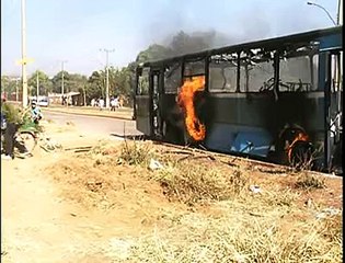 Confusão ônibus