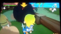 LoZ Wind Waker HD Giant Pig Glitch