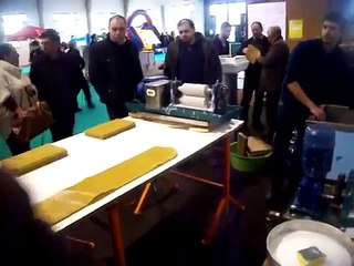 APICULTURA ESPAÑOLA, ESCUELA DE CM