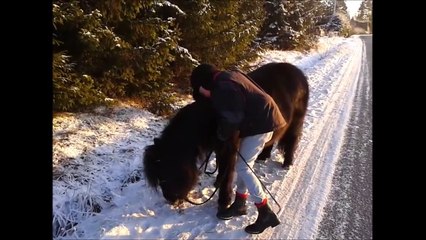 Saana & Veera - Thousand Years 13.12.2013 - 25.1.2014