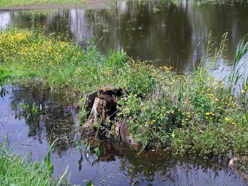 Bułat Okudżawa Gustaw Lutkiewicz Francois Villon - Modlitwa
