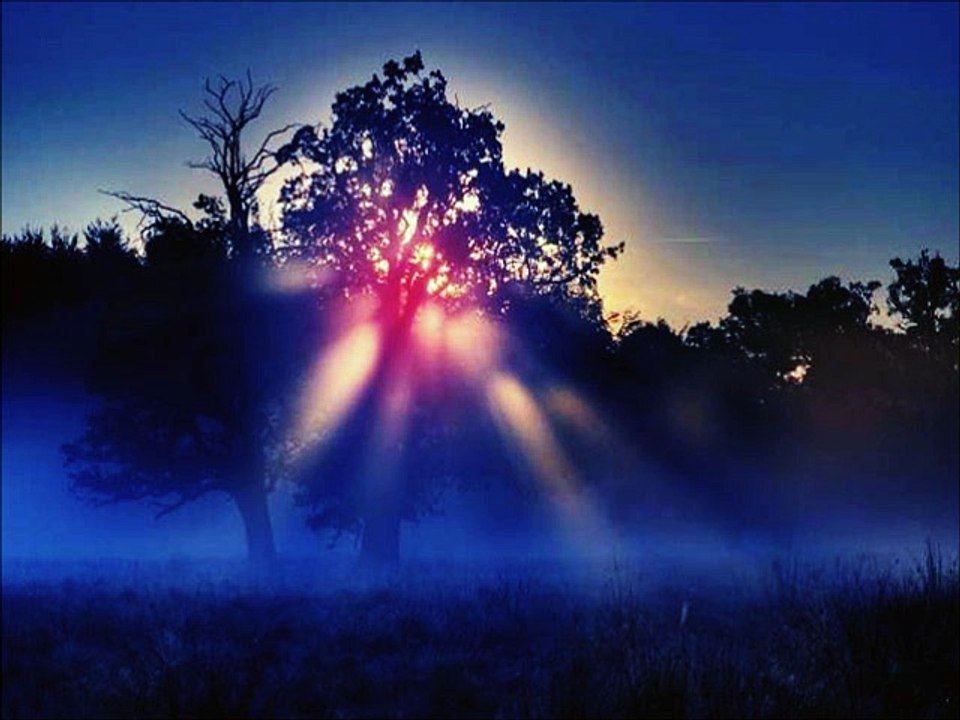 Cocooma - The Fog (Original Mix)