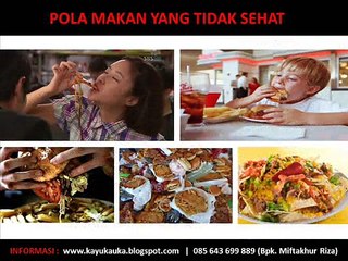 085 643 699 889, Khasiat Manfaat Gelang Kaukah