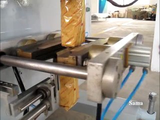 Tea Packing Machine - E 100 V (Rozy Tea) | Sama Engineering