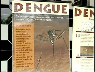 Cuidados Dengue