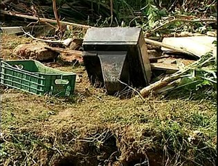 Jornal local: chuva domingo