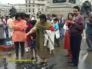 FRIENDLY PIGEONS, TRAFALGAR SQUARE, LONDON, ENGLAND
