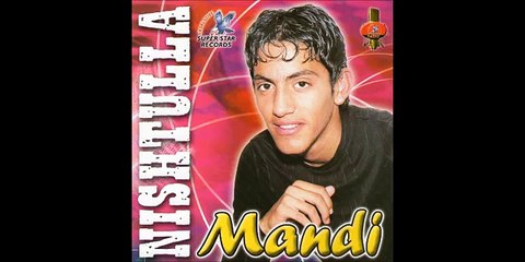 Mandi Nishtulles - Tenxhere